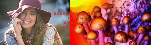 спайс Козельск