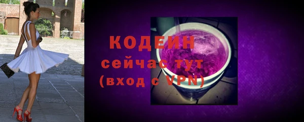 spice Богданович