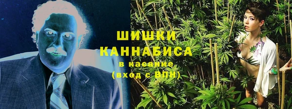 PSILOCYBIN Бронницы